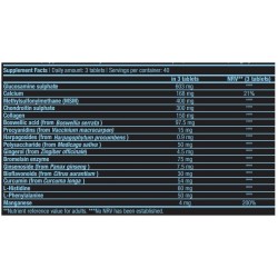 BIOTECH USA Arthro Guard  - 120 tab